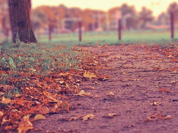 美國金門大學(xué) MBA 適合企業(yè)高管與創(chuàng)業(yè)者 配圖1