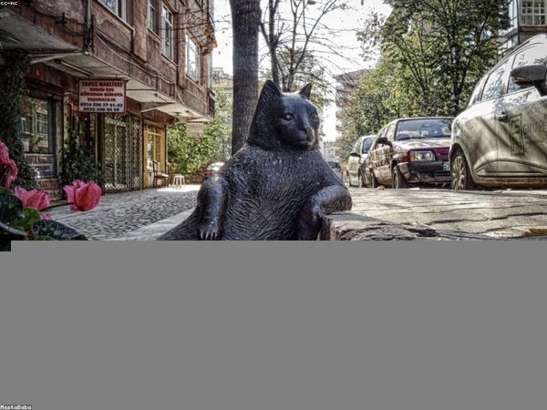 中外合作 MBA 專(zhuān)科可報(bào)嗎？條件放寬 配圖1