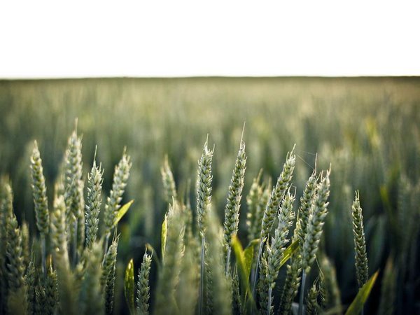 蘭州大學(xué) EMBA：西北五省高管教育標(biāo)桿 配圖3