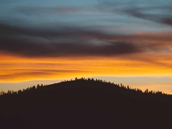 2026 年 EMBA 學(xué)費(fèi)最值得投資的十大項(xiàng)目 配圖2