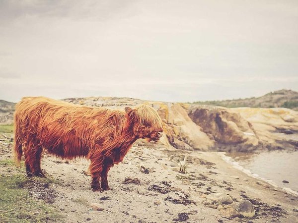 EMBA 提前面試考什么？通關(guān)技巧分享 配圖3