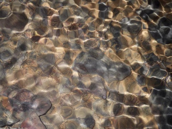 金門大學博士：團報特惠、早鳥優(yōu)惠，性價比超高 配圖2