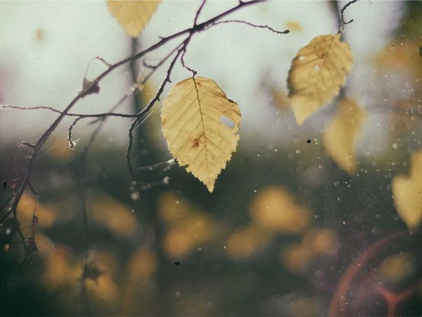 胡安卡洛斯國(guó)王大學(xué)人工智能博士適合技術(shù)高管嗎？ 配圖2