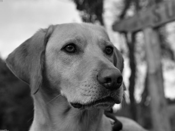 哈佛博士后醫(yī)生高管雙申，雙重身份適配 配圖2