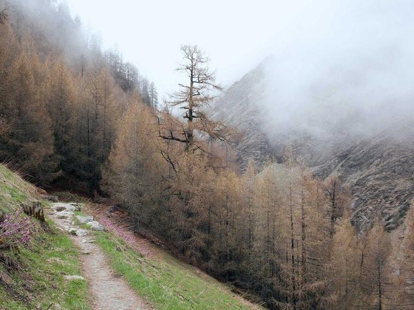 哈佛博士后醫(yī)生高管雙申，雙重身份適配 配圖3