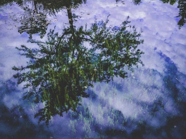 醫(yī)療行業(yè)從業(yè)者是否適合申請莫斯科國立大學(xué)博士后項(xiàng)目？ 配圖1