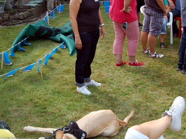 醫(yī)療行業(yè)從業(yè)者是否適合申請莫斯科國立大學(xué)博士后項(xiàng)目？ 配圖2