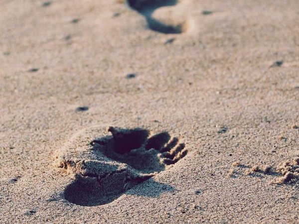 財(cái)務(wù)主管培訓(xùn)可以分期繳費(fèi)嗎？支付方式說明 配圖2