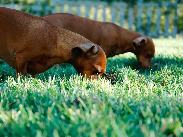 營銷培訓老學員特權，推薦新學員享獎勵 配圖2