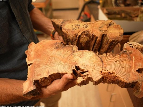 成人本科可以考教師編制幼兒園嗎？ 配圖1