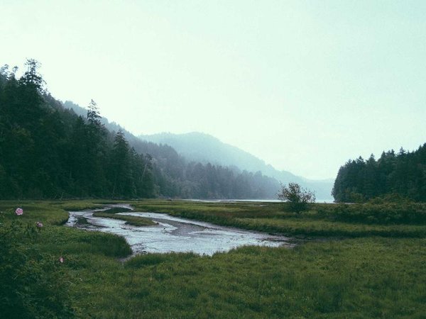 成人大?？梢钥家患壗ㄔ鞄熗ㄐ艈?？ 配圖1