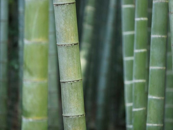 成人大?？梢钥家患壗ㄔ鞄熗ㄐ艈?？ 配圖2