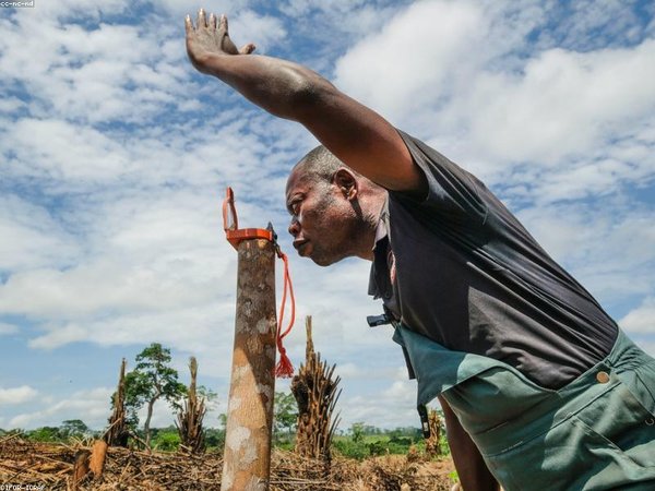 成人本科論文查重用哪個系統(tǒng)？ 配圖1