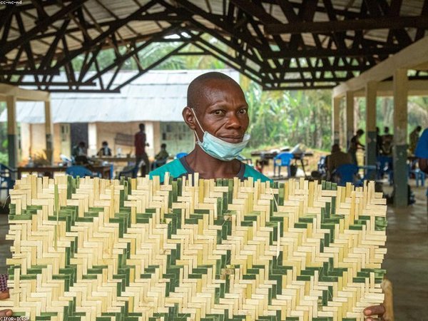 學歷提升能用于評高級經(jīng)濟師嗎？ 配圖2