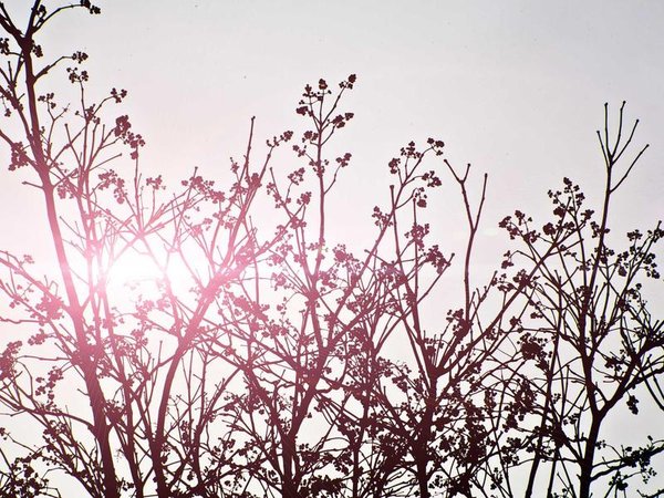 心理咨詢師證書能執(zhí)業(yè)嗎？ 配圖1