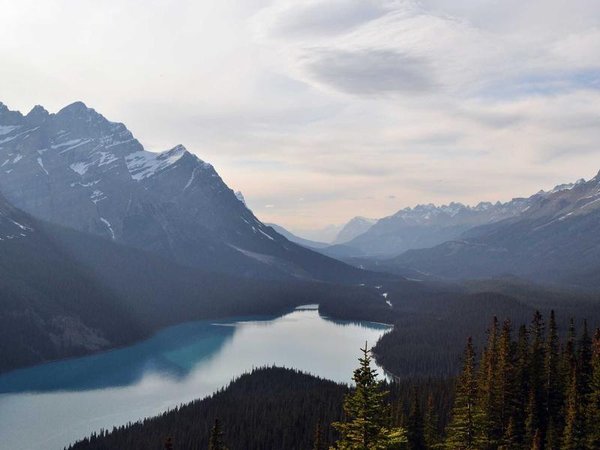 金門(mén)大學(xué)博士：終身校友服務(wù)，資源對(duì)接永不落幕 配圖2