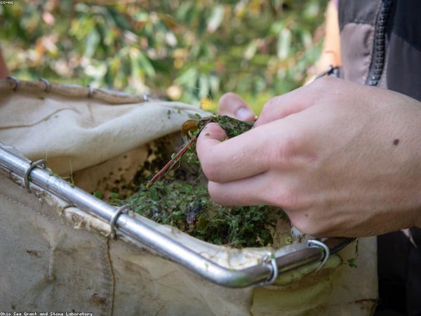 40 歲讀 DBA 晚不晚？職場(chǎng)逆襲還來(lái)得及嗎？ 配圖3