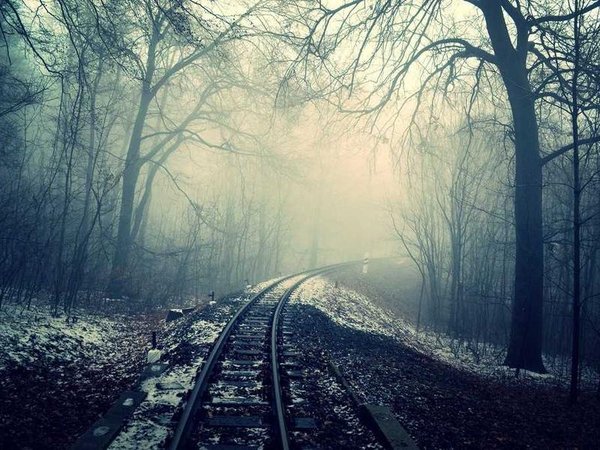 雪蘭多大學(xué)博士：申請流程簡化，錄取率穩(wěn)步提升 配圖2