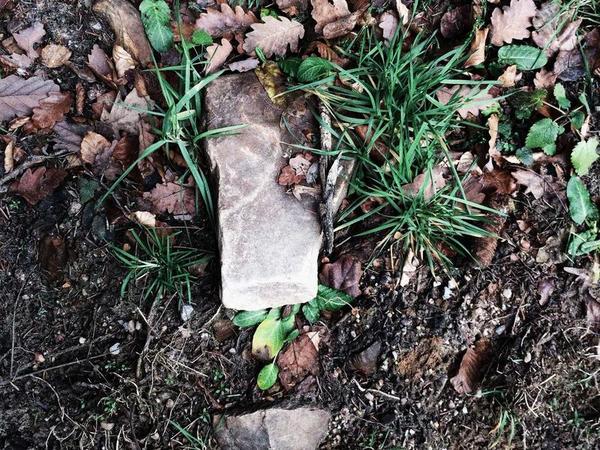 金門大學(xué)博士：畢業(yè)率行業(yè)領(lǐng)先，院校全方位保障 配圖2