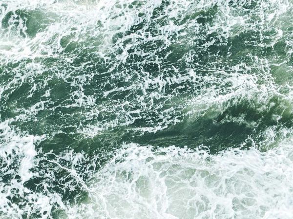 哈佛博士后學(xué)費(fèi)包含翻譯費(fèi)嗎？ 配圖1