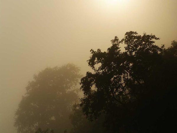 牛津博士后申請(qǐng)郵箱填寫規(guī)范？ 配圖3