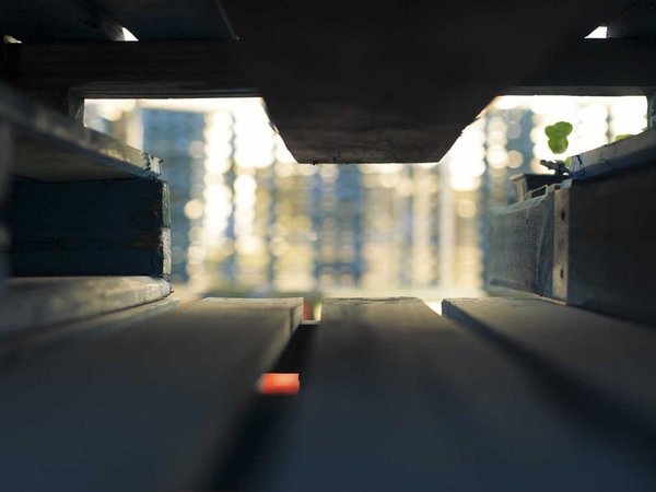 海外博士申莫大博士后，快速通道免排隊(duì) 配圖1