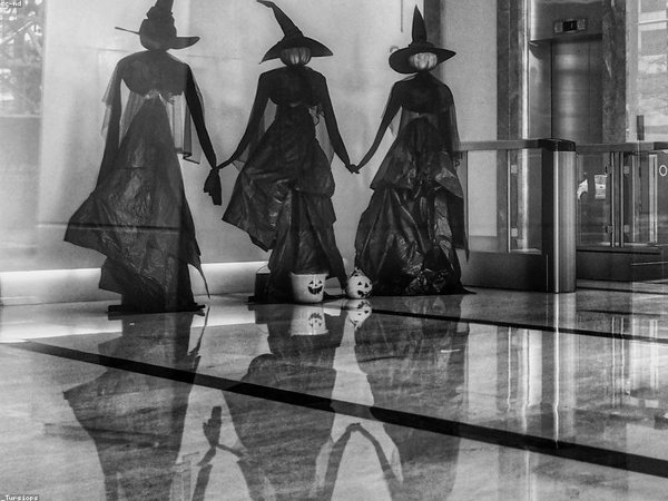 高層管理培訓試聽課程內(nèi)容？說明詳解 配圖1