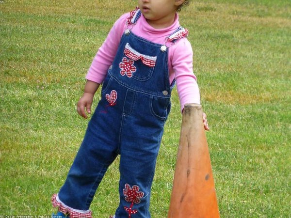 瑞士商學(xué)院碩士 —— 不出國拿瑞士碩士 配圖3