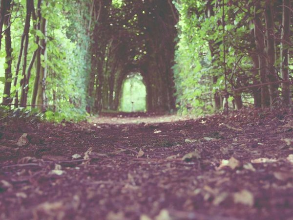 巴黎學(xué)院 MBA 法國(guó)巴黎校本部游學(xué) 配圖2