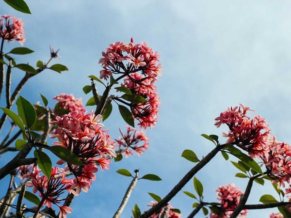 巴黎學(xué)院 MBA 法國(guó)巴黎校本部游學(xué) 配圖1