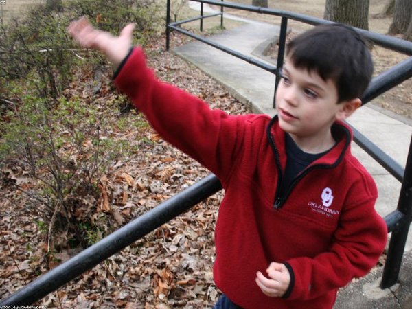 免聯(lián)考 EMBA 美國項目靠譜嗎？認(rèn)證查詢 配圖1