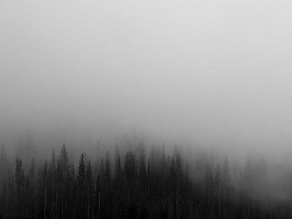 EMBA 學(xué)費(fèi)珠三角人才補(bǔ)貼申請(qǐng)流程 配圖3