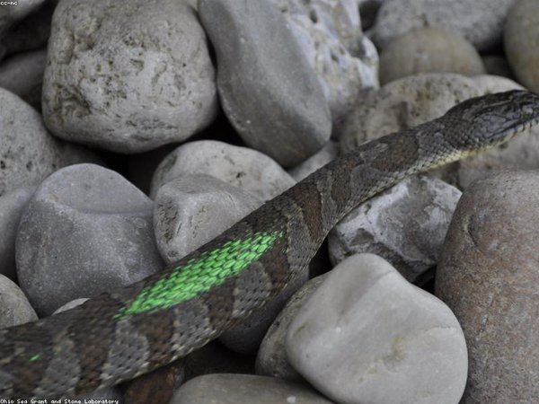 國(guó)內(nèi)熱門 DBA 院校推薦：無(wú)需聯(lián)考，免試入學(xué) 配圖2