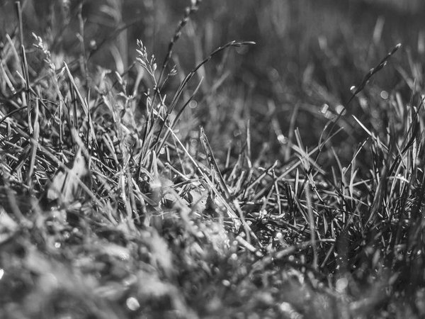 雪蘭多大學(xué)組織領(lǐng)導(dǎo)力博士：咨詢公司高管提升服務(wù)能力 配圖2