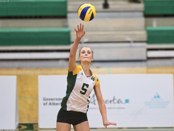 穆爾西亞大學(xué)應(yīng)用心理學(xué)博士：催眠治療師專業(yè)進階首選 配圖3