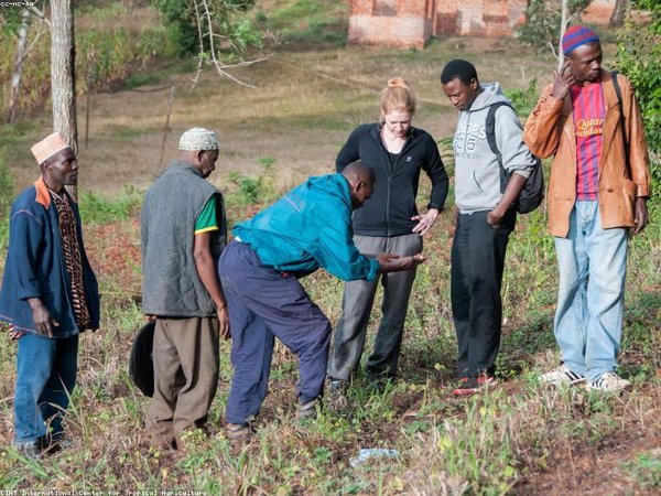 巴黎學(xué)院金融學(xué)博士：歐洲金融體系，資本高管深造首選 配圖1