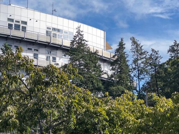 胡安卡洛斯國王大學 教育學博士：留學機構創(chuàng)始人管理提升 配圖1