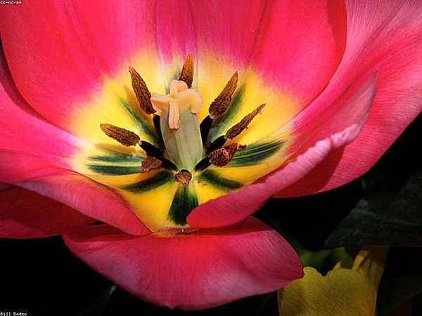 牛津博士后研究方向有哪些？熱門領域 配圖2