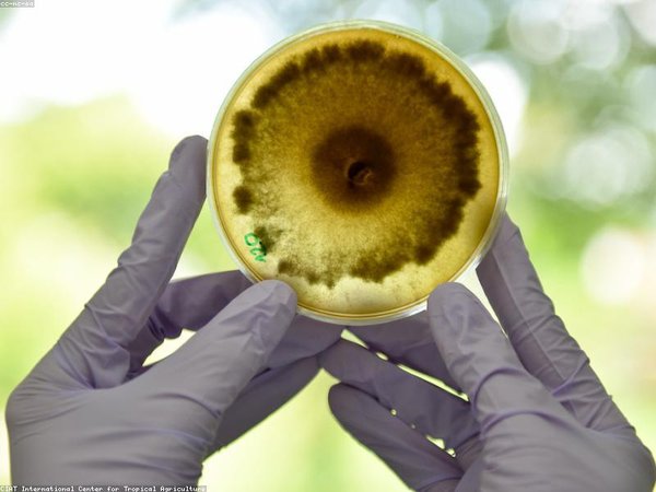 哈佛大學(xué)博士后面試攻略，通關(guān)率大幅提升 配圖2