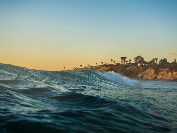 哈佛博士后有一對(duì)一導(dǎo)師嗎？培養(yǎng)模式 配圖2