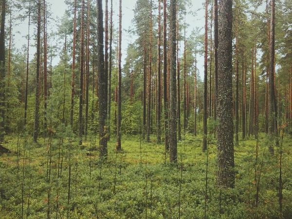 劍橋博士后申請全指南，條件材料一站式 配圖3