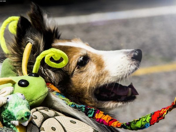 劍橋博士后就業(yè)前景如何？名企認(rèn)可 配圖1