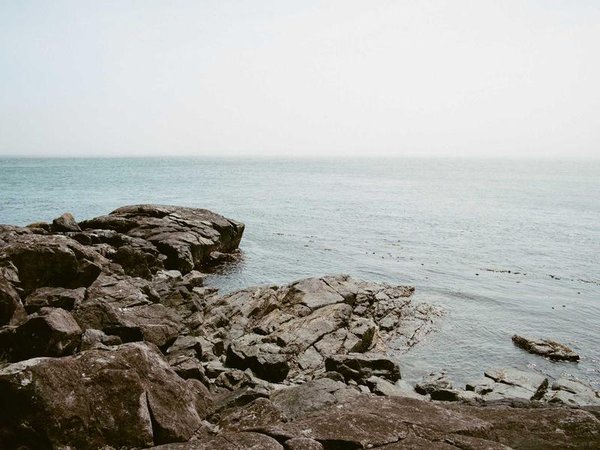 北清商學(xué)院的課程有營銷實(shí)戰(zhàn)嗎？ 配圖3