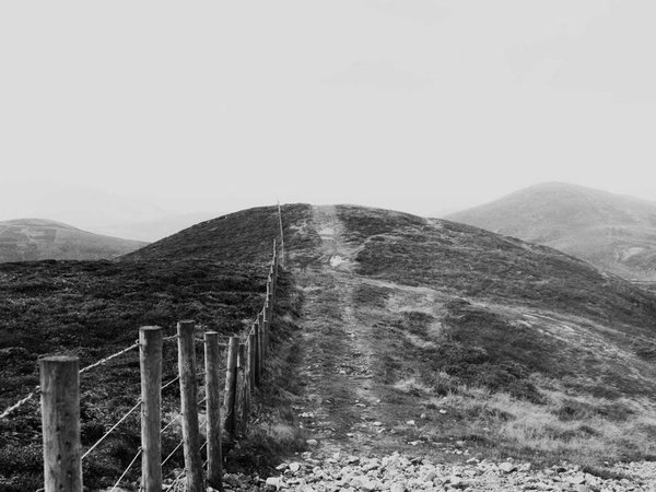 莫大博士后俄羅斯院士導(dǎo)師團，一對一指導(dǎo) 配圖1