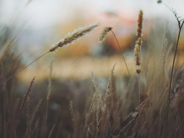 制造業(yè)總裁班:綠色低碳制造與可持續(xù)發(fā)展課程 配圖1