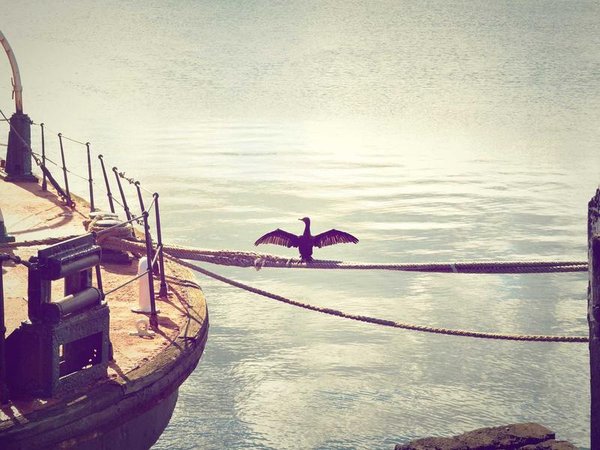 二代不愿接班？總裁班提供傳承解決方案 配圖2