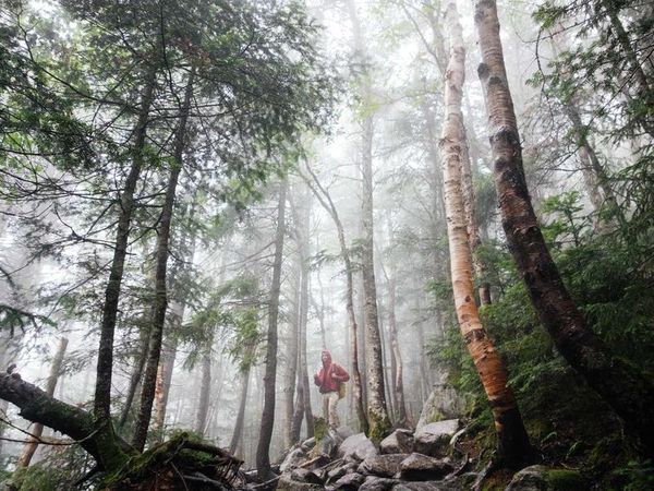 二代不愿接班？總裁班提供傳承解決方案 配圖1