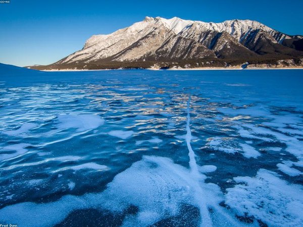 領導培訓學習資料有哪些？配套教材詳解 配圖2