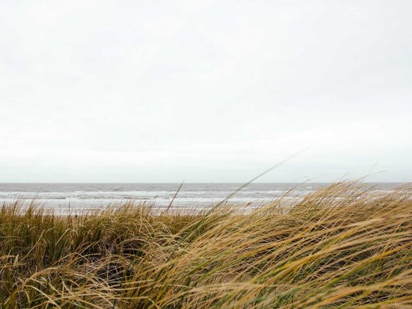 專升本考試內(nèi)容是什么？ 配圖2