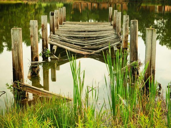 成人本科論文答辯流程是什么？ 配圖2